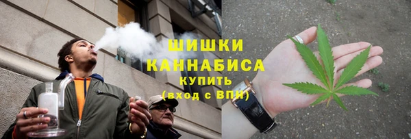 стаф Верхний Тагил