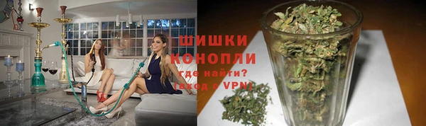 дурь Бородино