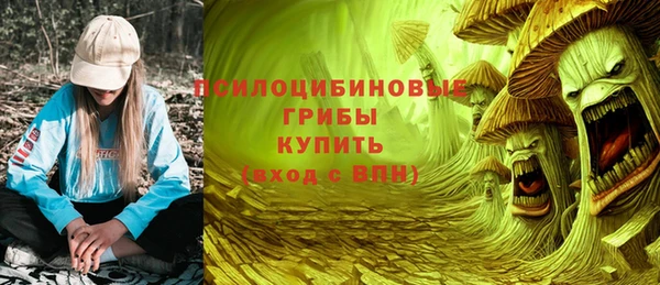 дурь Бородино