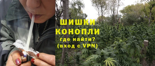 дурь Бородино