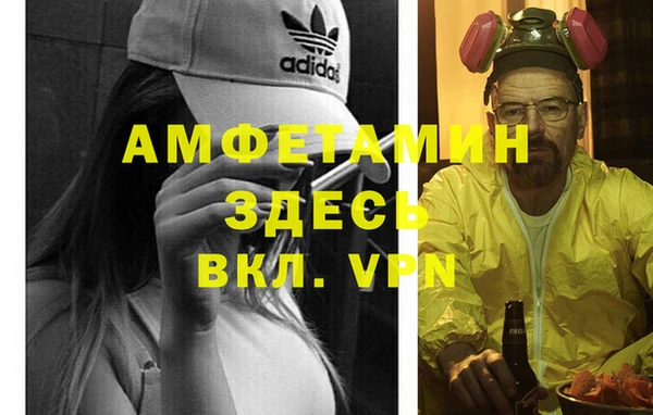 дурь Бородино