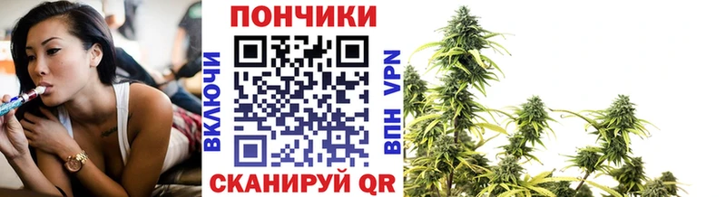 Бошки марихуана индика  купить  цена  Емва 